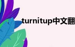 turnitup中文翻译（turn it up）