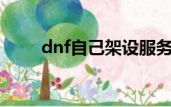 dnf自己架设服务器（架设服务器）