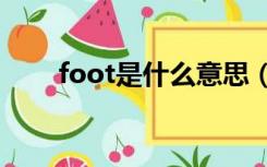 foot是什么意思（fool是什么意思）