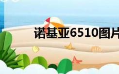 诺基亚6510图片（诺基亚6510）