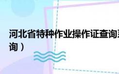 河北省特种作业操作证查询系统（河北省特种作业操作证查询）