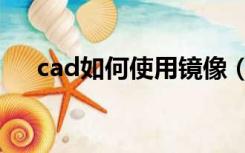 cad如何使用镜像（cad镜像怎么使用）