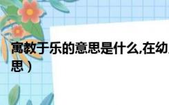 寓教于乐的意思是什么,在幼儿中体现了什么（寓教于乐的意思）