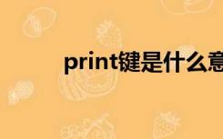 print键是什么意思啊（print键）