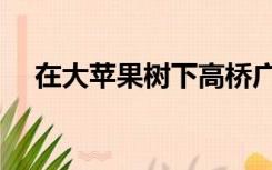 在大苹果树下高桥广树（在大苹果树下）