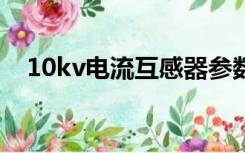 10kv电流互感器参数（电流互感器参数）