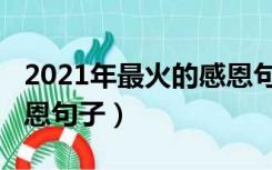 2021年最火的感恩句子图（2021年最火的感恩句子）