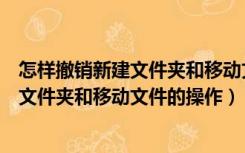 怎样撤销新建文件夹和移动文件的操作界面（怎样撤销新建文件夹和移动文件的操作）