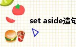 set aside造句（set aside）