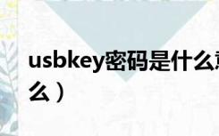 usbkey密码是什么意思（usbkey密码是什么）