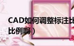 CAD如何调整标注比例（CAD中怎么调标注比例啊）