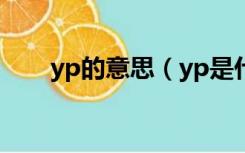 yp的意思（yp是什么意思网络用语）