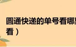 圆通快递的单号看哪里（圆通快递单号在哪里看）