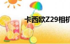 卡西欧Z29相机（卡西欧z29）