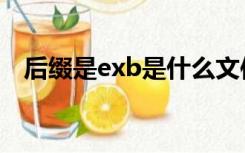 后缀是exb是什么文件（exb是什么文件）