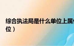 综合执法局是什么单位上属什么单位（综合执法局是什么单位）