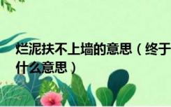 烂泥扶不上墙的意思（终于知道什么叫烂泥扶不上墙了  是什么意思）