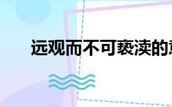 远观而不可亵渎的意思（亵渎的意思）