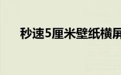 秒速5厘米壁纸横屏（秒速5厘米壁纸）