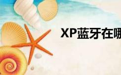 XP蓝牙在哪（xp蓝牙）