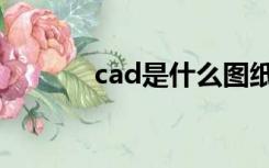 cad是什么图纸（cad是什么）