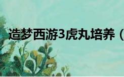 造梦西游3虎丸培养（造梦西游3虎丸配招）