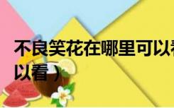 不良笑花在哪里可以看到（不良笑花在哪里可以看）