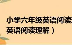 小学六年级英语阅读理解100篇（小学六年级英语阅读理解）