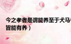 今之孝者是谓能养至于犬马者（今之孝者是谓能养至于犬马皆能有养）