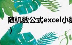 随机数公式excel小数点后两位（随机数公式）