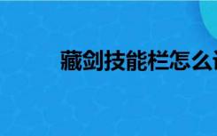 藏剑技能栏怎么设置（藏剑技能）