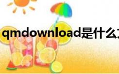 qmdownload是什么文件（qmdownload）