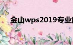 金山wps2019专业版（金山wps2010）