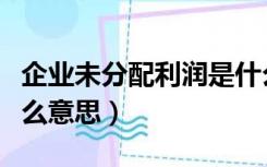 企业未分配利润是什么意思（未分配利润是什么意思）