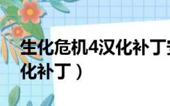 生化危机4汉化补丁安装视频（生化危机4汉化补丁）