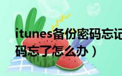 itunes备份密码忘记怎么办（itunes备份密码忘了怎么办）