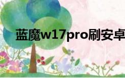 蓝魔w17pro刷安卓6.0（蓝魔w17pro）