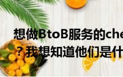 想做BtoB服务的chemicalbook是什么公司？我想知道他们是什么样的