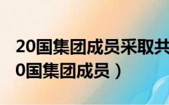 20国集团成员采取共同举措发出有力信号（20国集团成员）