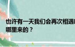 也许有一天我们会再次相遇睁开眼睛看清我才是英雄郑志华哪里来的？