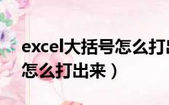 excel大括号怎么打出来变大（excel大括号怎么打出来）