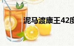 泥马渡康王42度（泥马渡康王）