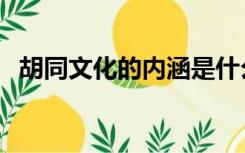 胡同文化的内涵是什么（胡同文化的内涵）