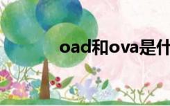 oad和ova是什么意思（oad）