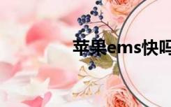 苹果ems快吗（ems快吗）