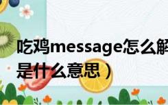 吃鸡message怎么解决（绝地求生message是什么意思）