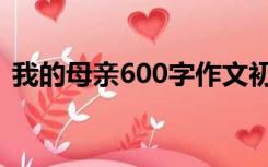 我的母亲600字作文初二（我的母亲600字）