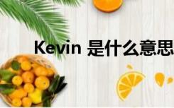 Kevin 是什么意思（kevin什么意思）