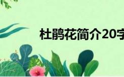 杜鹃花简介20字（杜鹃花简介）