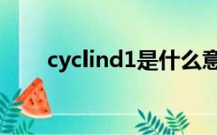 cyclind1是什么意思少量+什么意思